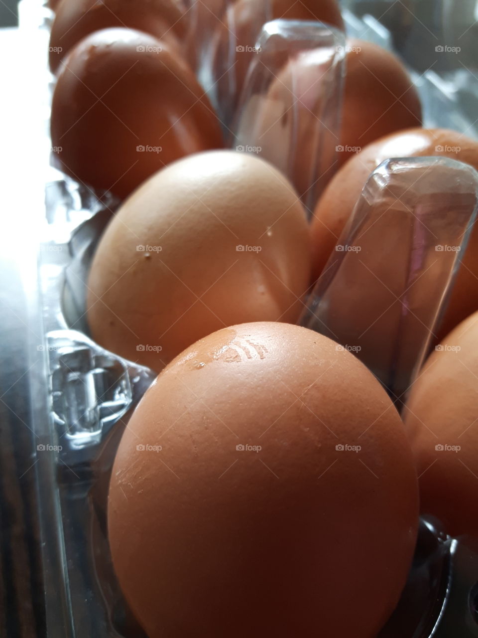 eggs