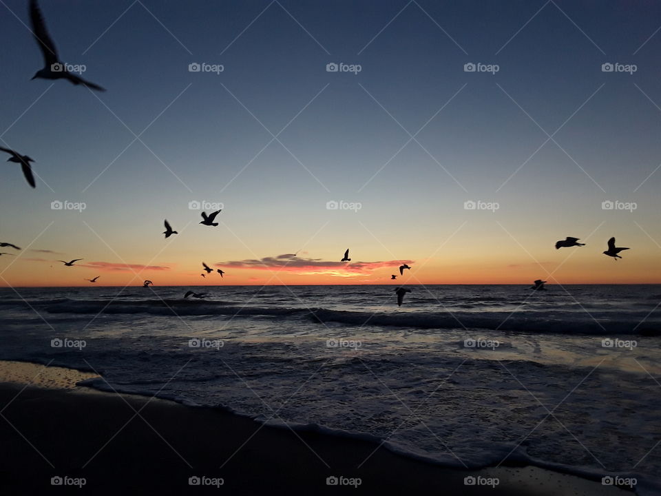 dawn over the Atlantic