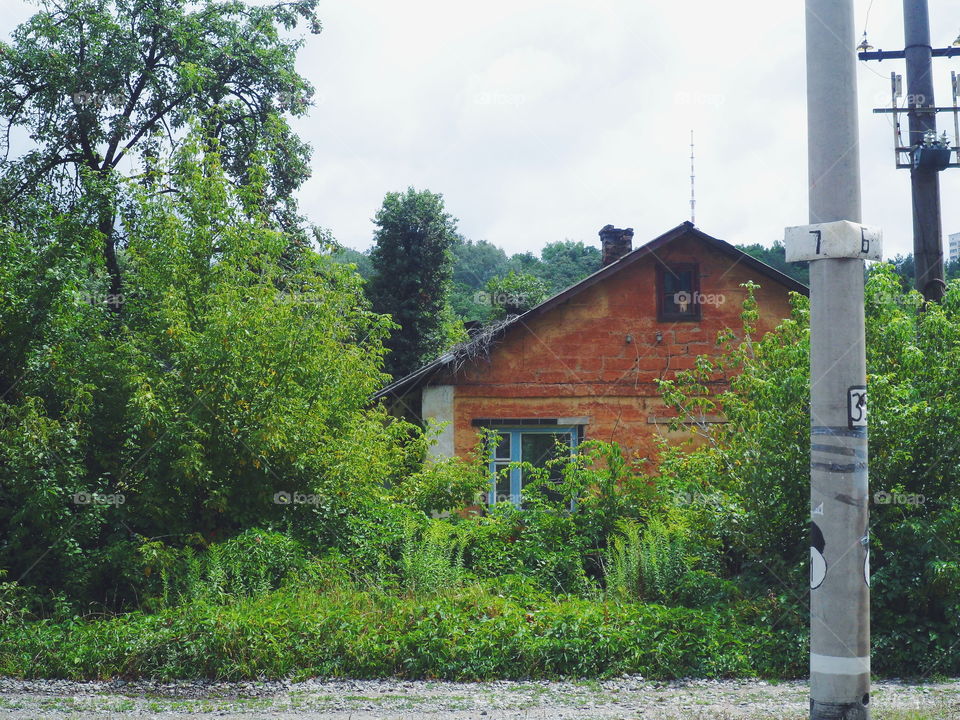 rural house on the background of green trees and bushes