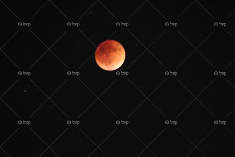 blood moon 2016