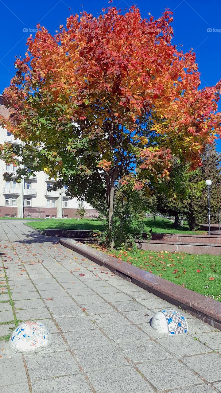 Great autumn in Ukraine !!!