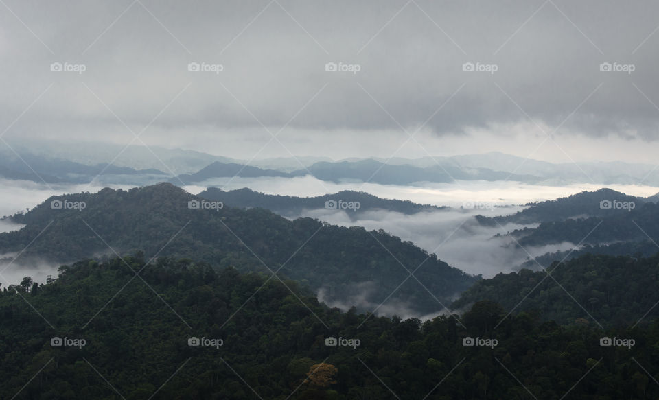 Sea of mist on the mountain.