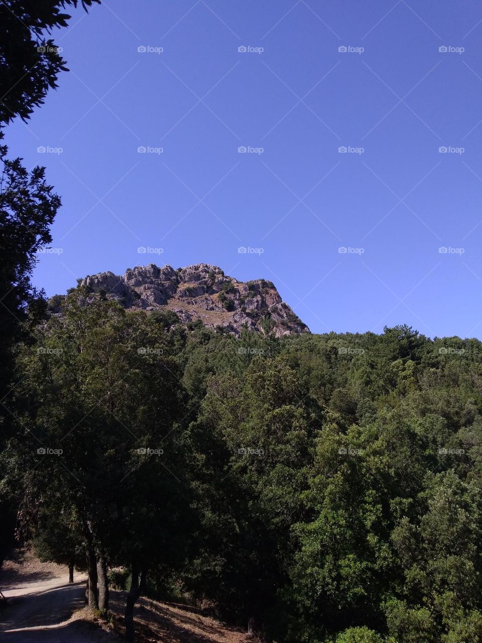 Editors' Choice - Photo of the Week