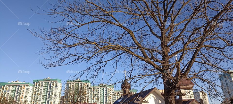 street view architecture landscape blue sky background