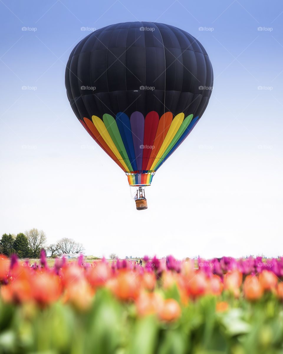 Multicolored air balloon flying