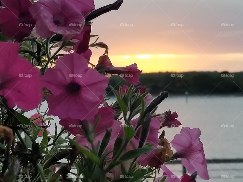 Coos River, North Bend Oregon