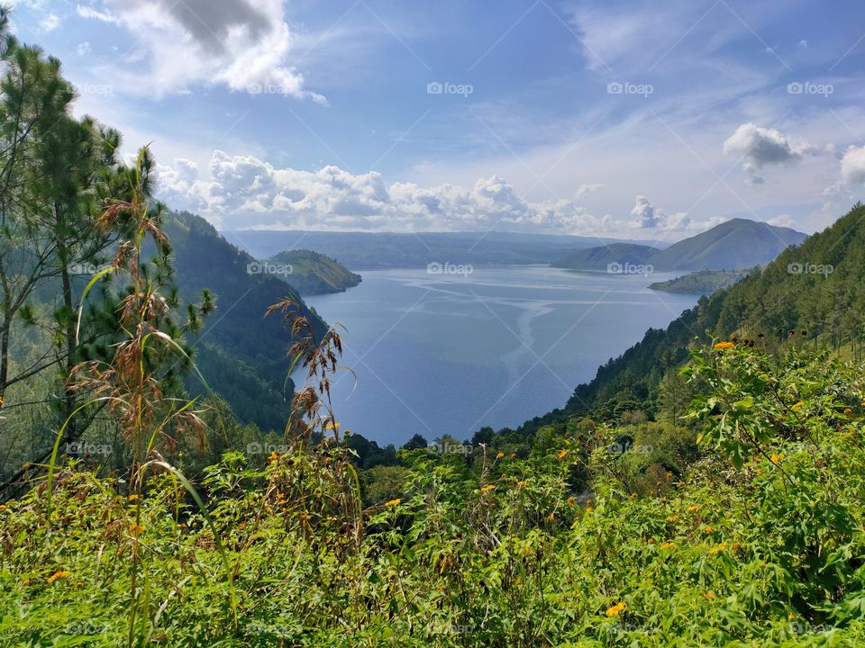 True Nature, No Filter