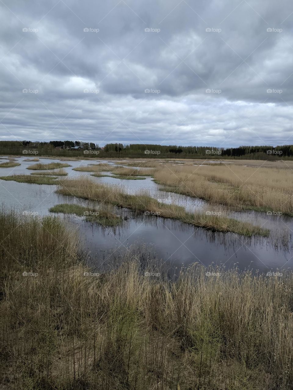 view ovet water