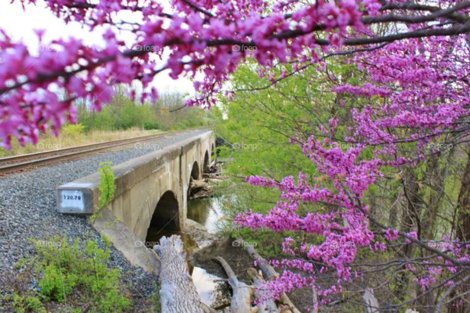 Spring on the tracks