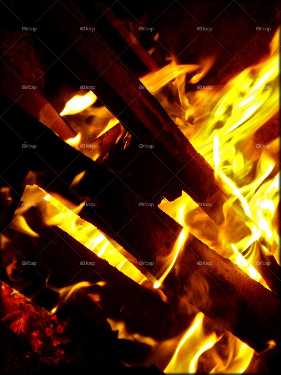 Fire flames close up shooting amazing colorful eye-catching summer vibes