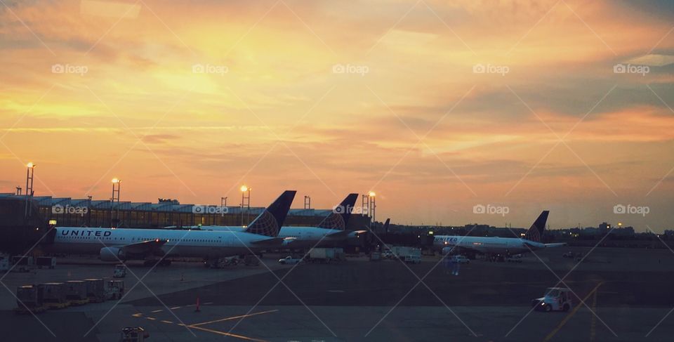 Airplanes parked at airport 