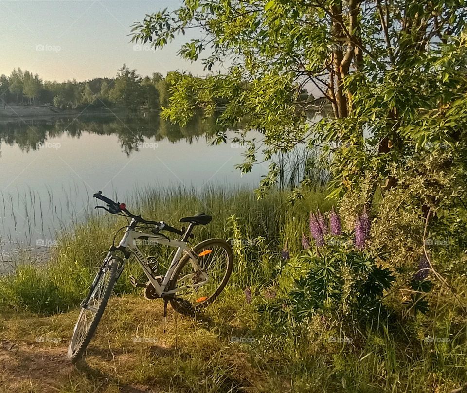 bike on a lake shore summer time, nature lovers