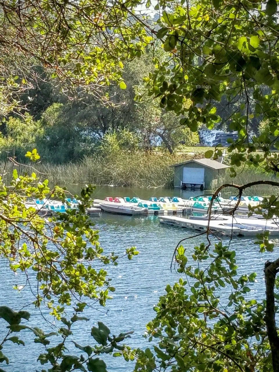 Summer fun on the water