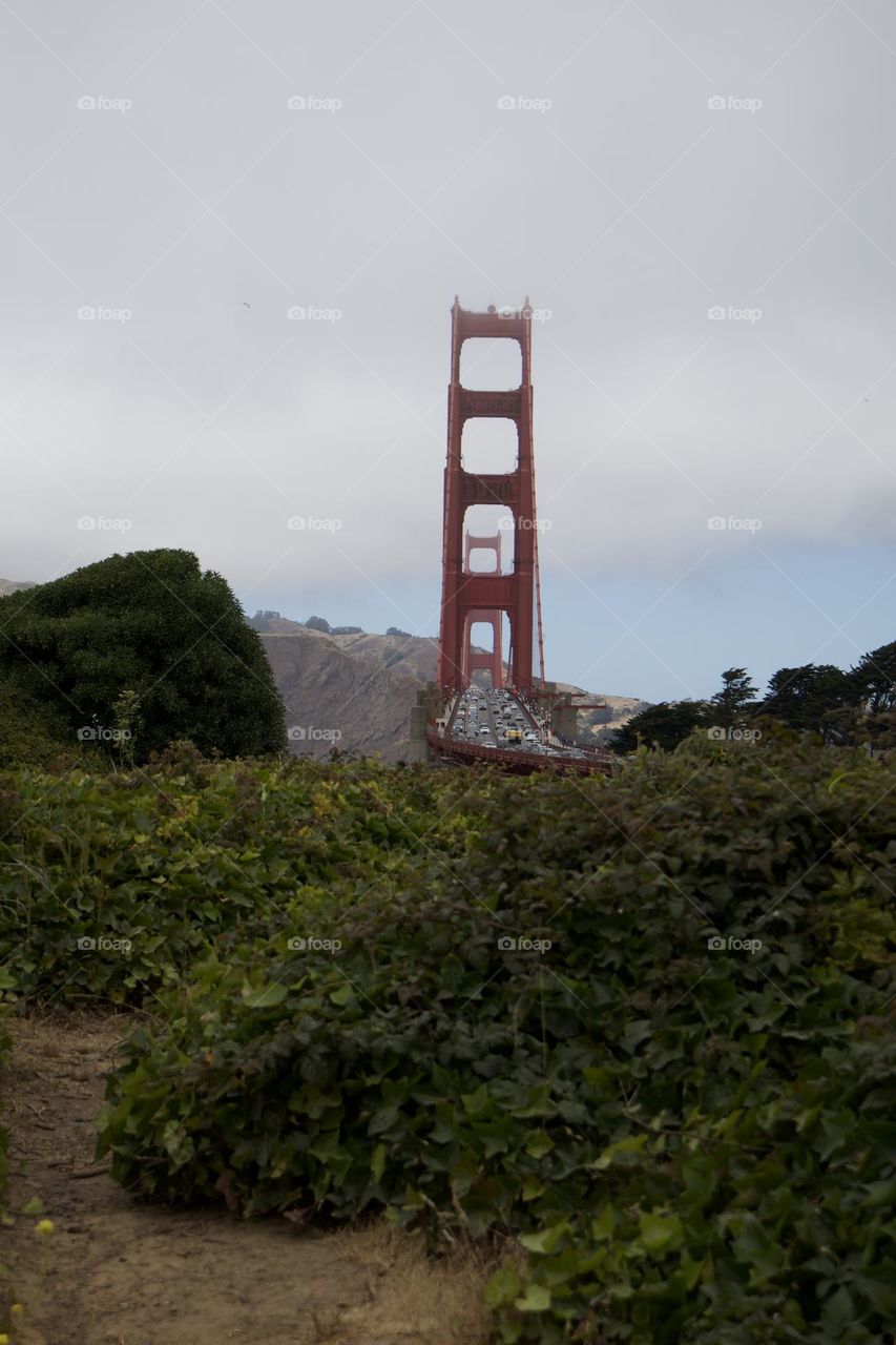 Golden Gate Bridge viewed from the Golden Gate viewing point in the presidio national park in San Francisco California 