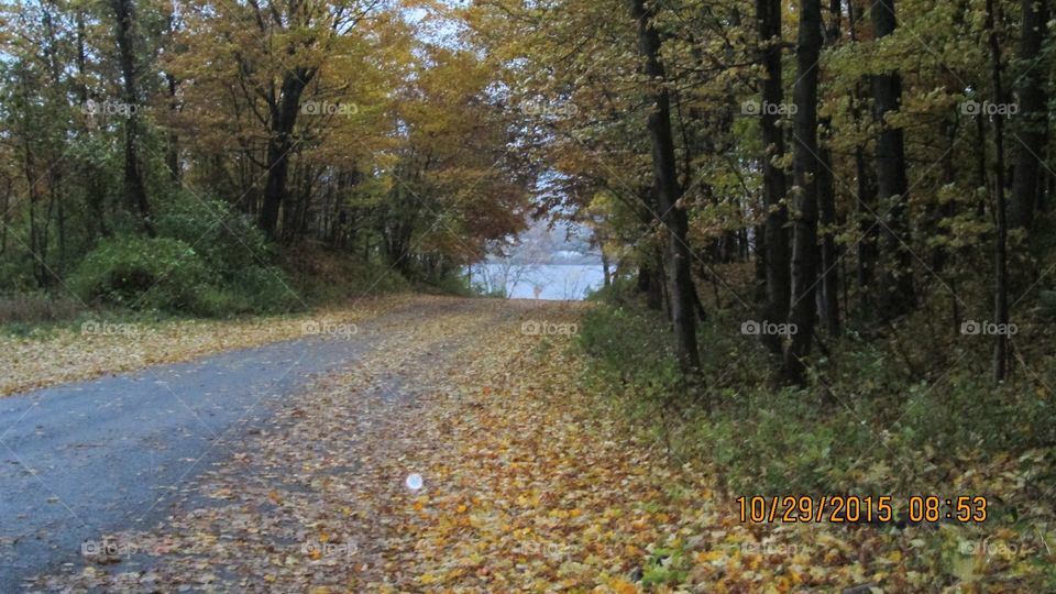 Northern Michigan 