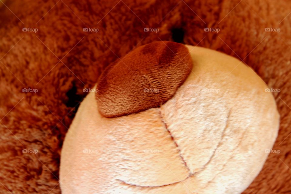 friendly smile of a teddy bear