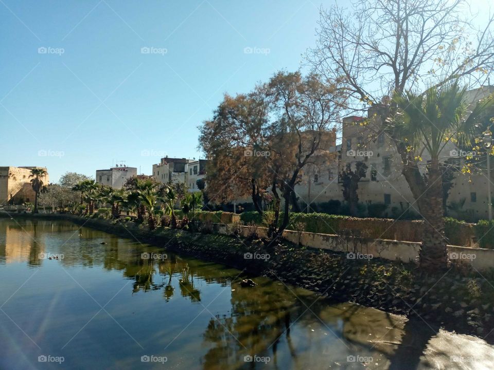 Population between the nature