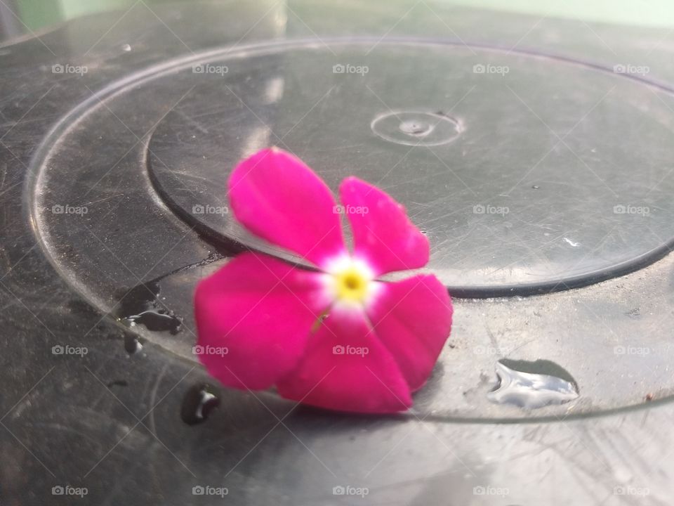 Natural flower image