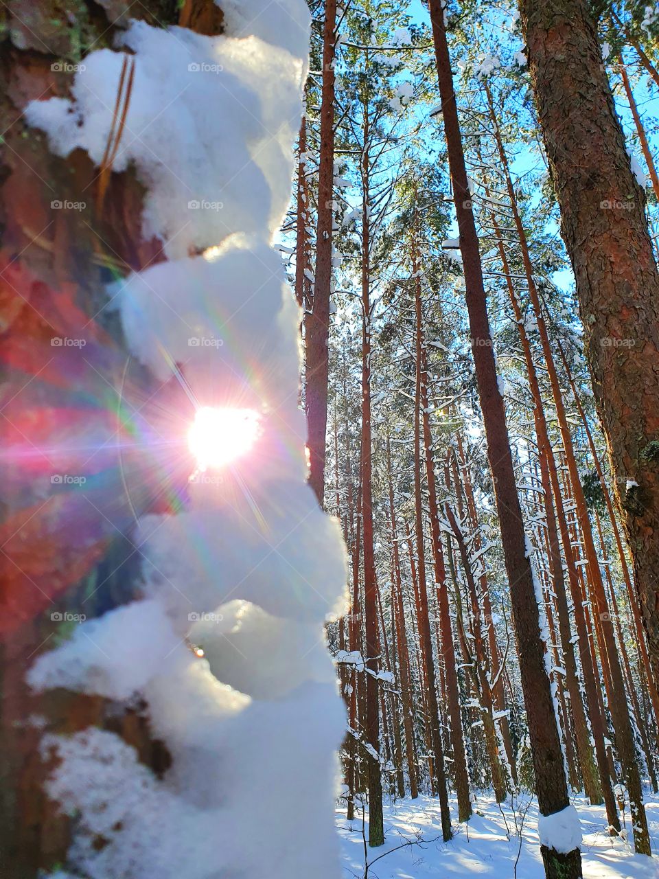 Sun is looking through a small hole of snow.