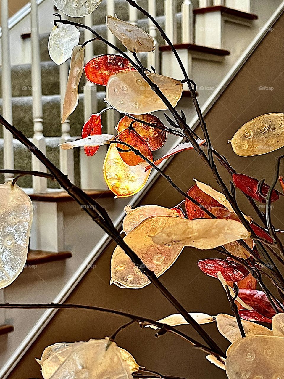Lunaria Dried Floral in Fall Colors