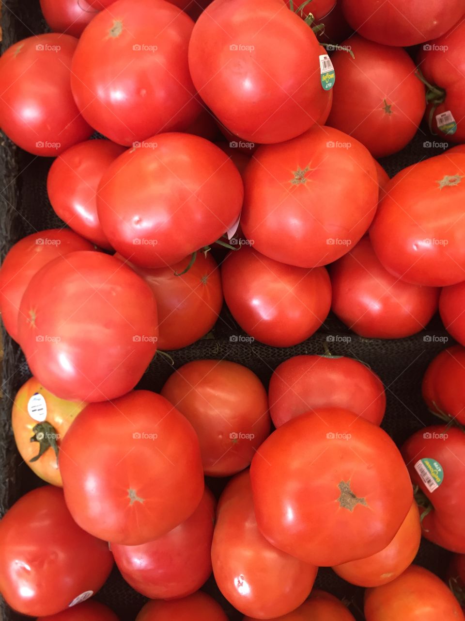 These tomatoes are so amazing looking just want to buy them all and do jarring for winter