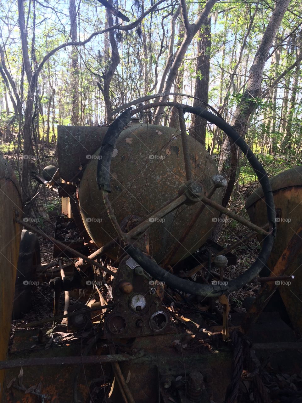 Minneapolis Moline steering wheel abandoned tractor
