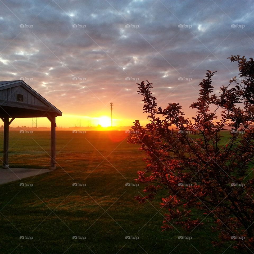 Warm glow (2) 8-6-2014 @ 0615