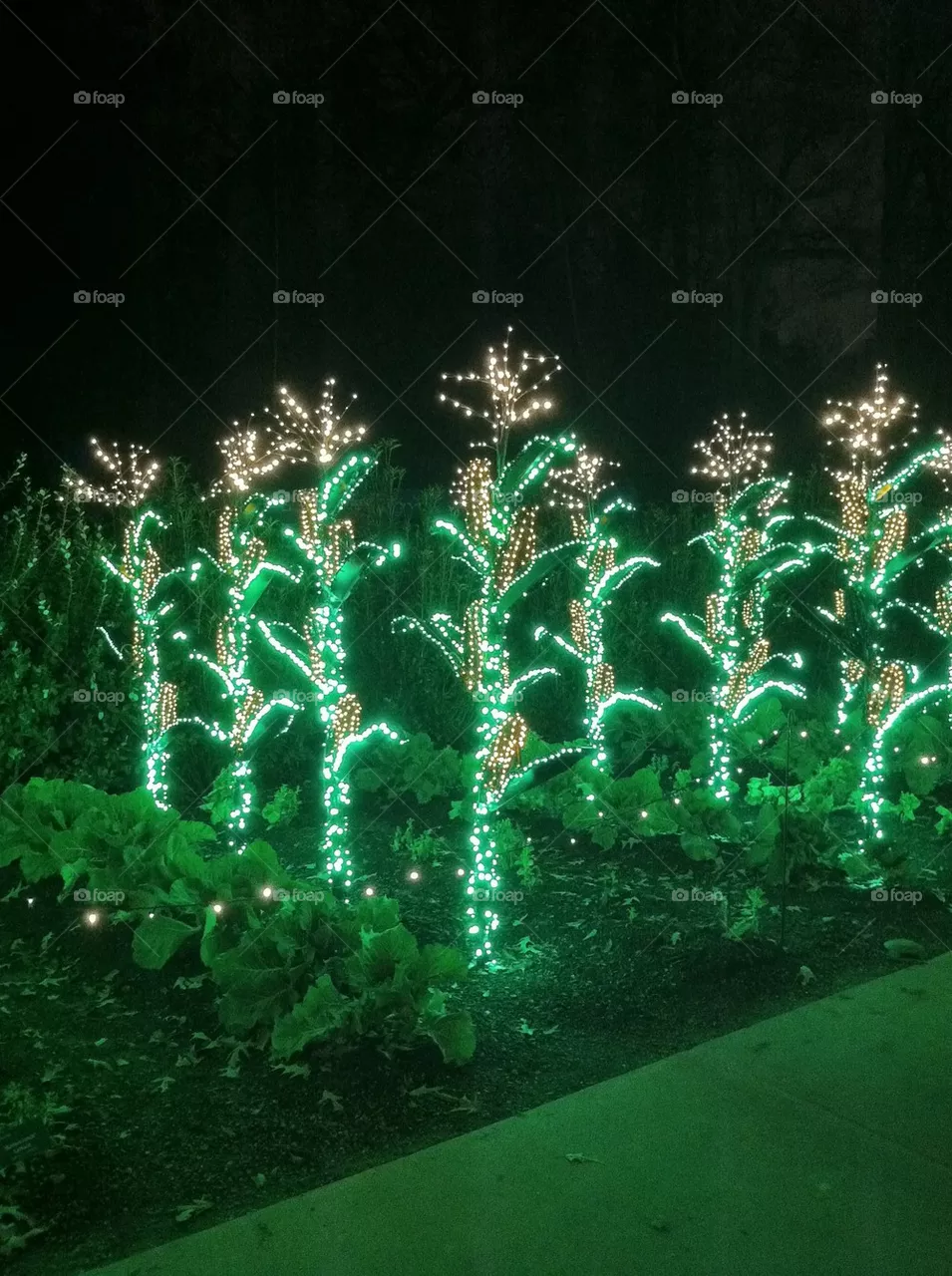 Lights