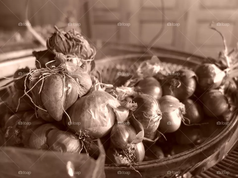 Garlics