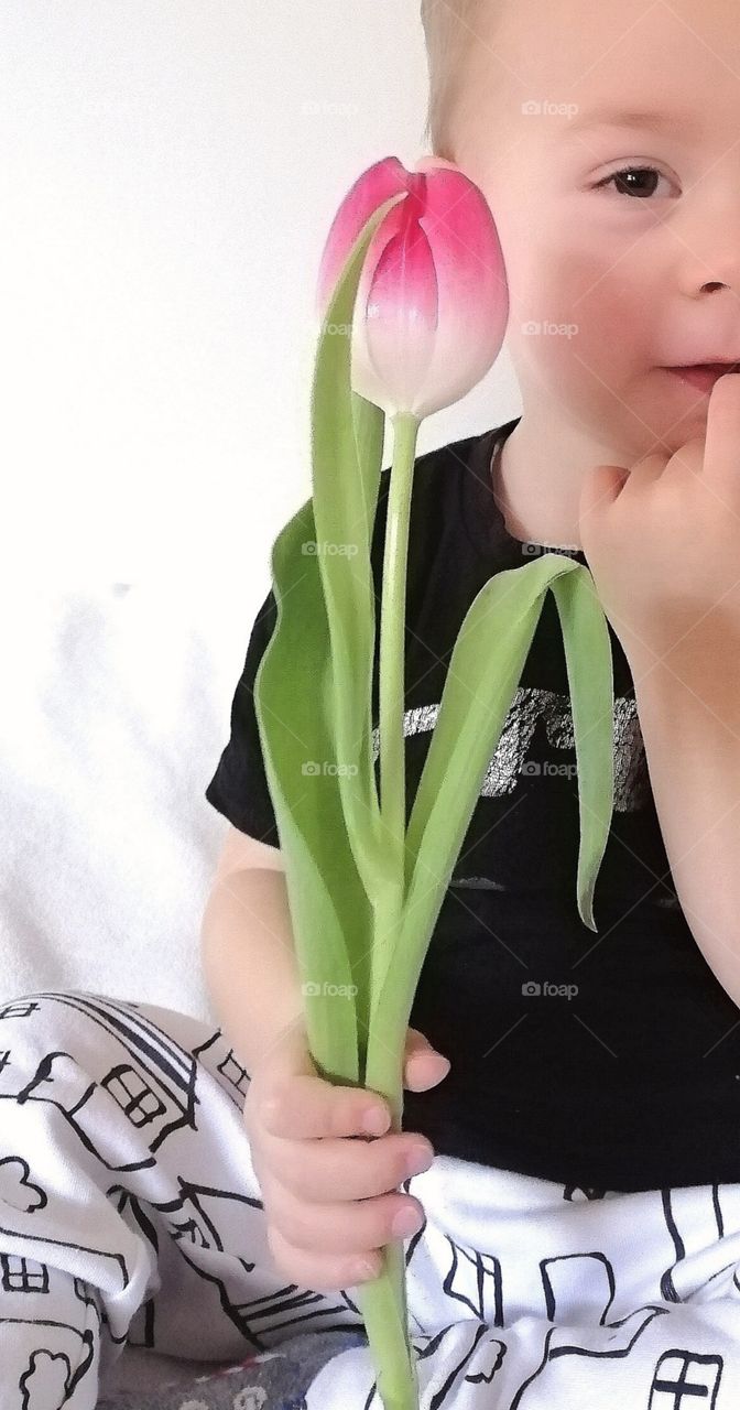 Boy, flower, tulip