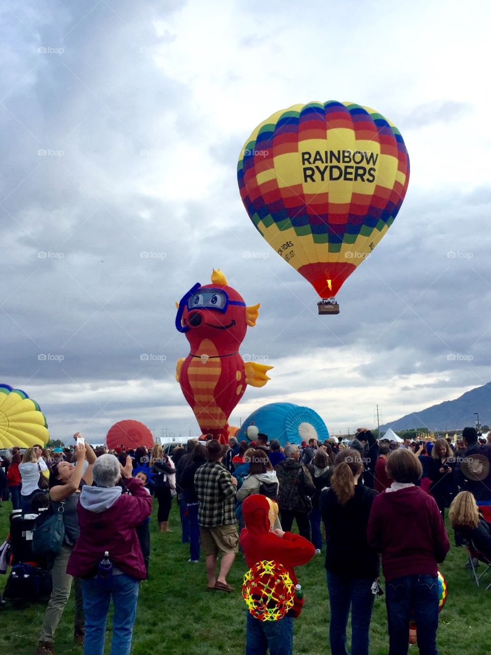 Balloon Fiesta 2015 ABQ. Colorful seahorse at fiesta with Rainbow Ryder's 

Up in the sky hot air balloons are King. 