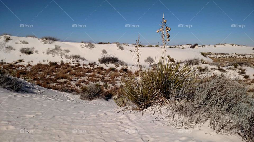 White Sands National Monument