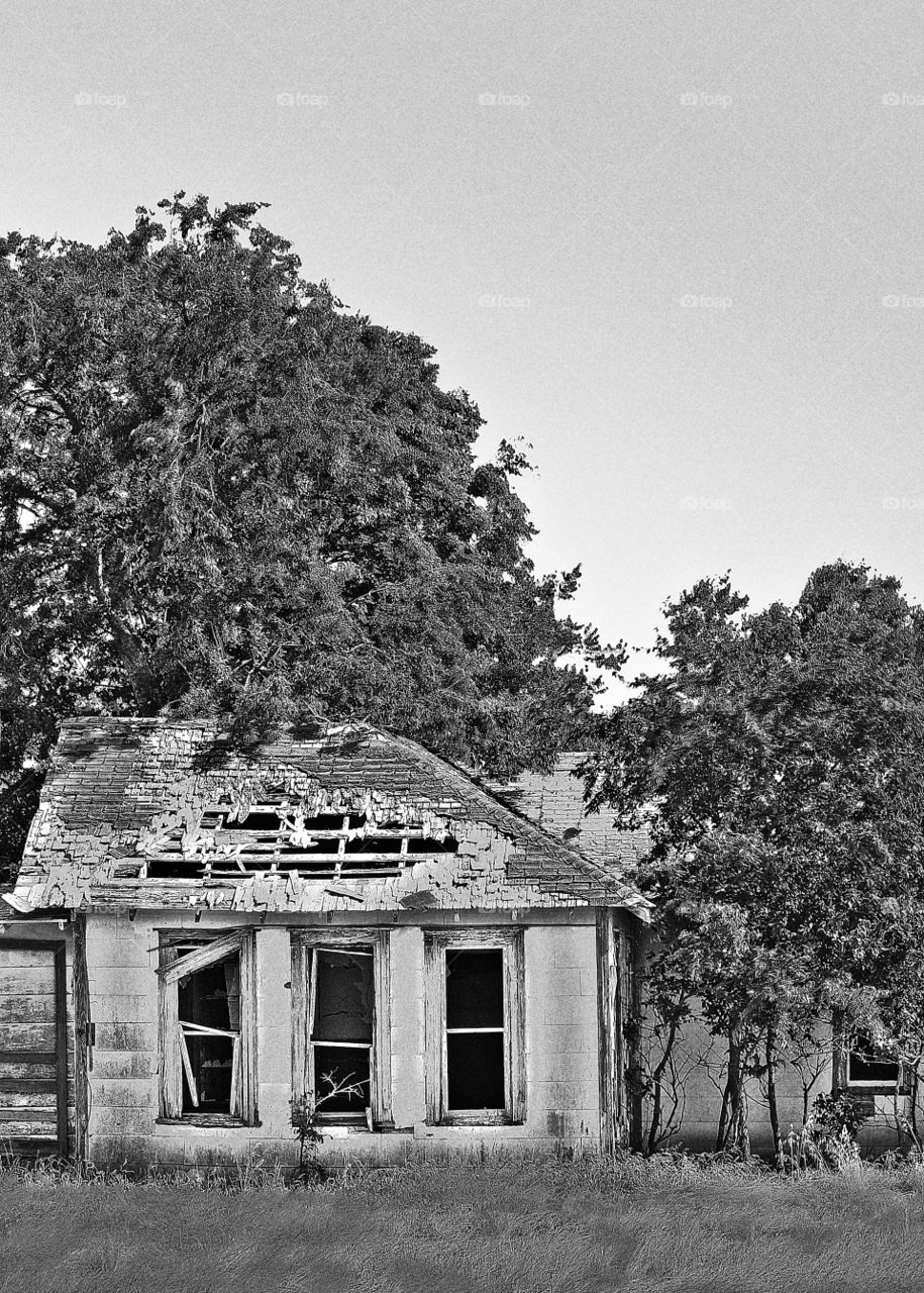 trees black and white old house spooky by toxiccheese