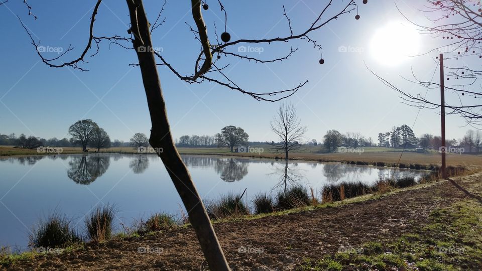 good morning Sunshine