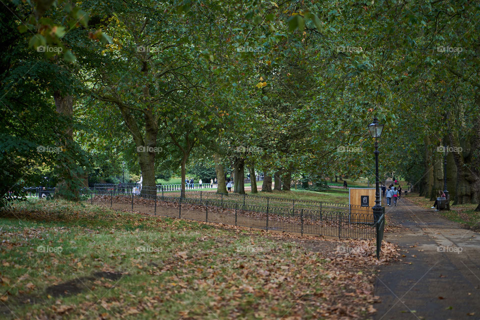 Autumn at the Park 