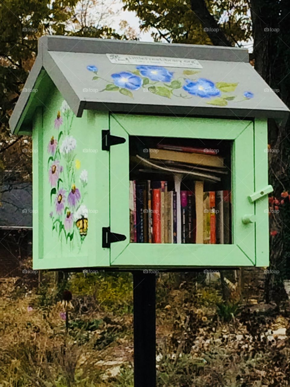 Little Library 