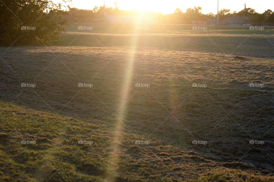 Suns rays streaming over a field 