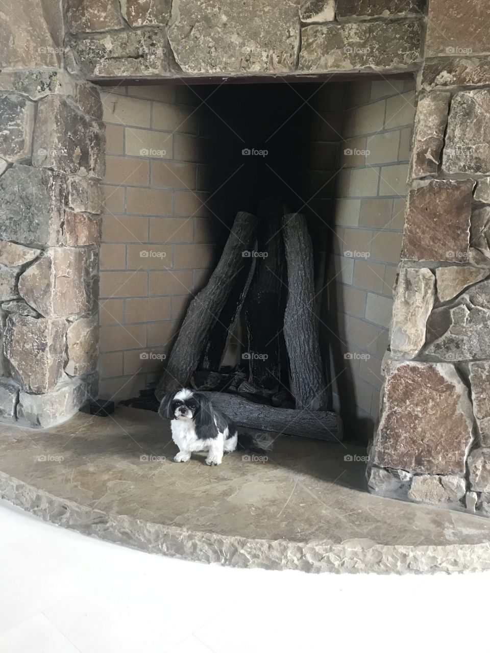 Protecting the fireplace 