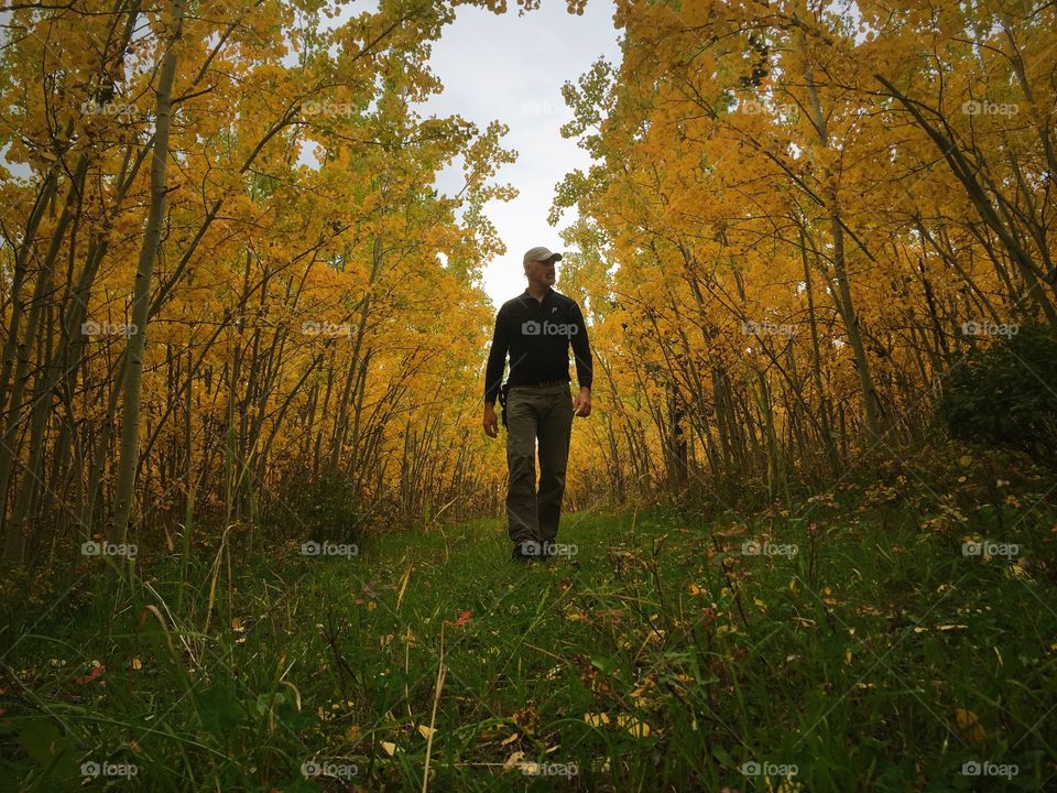 Young man walking between autumn trees