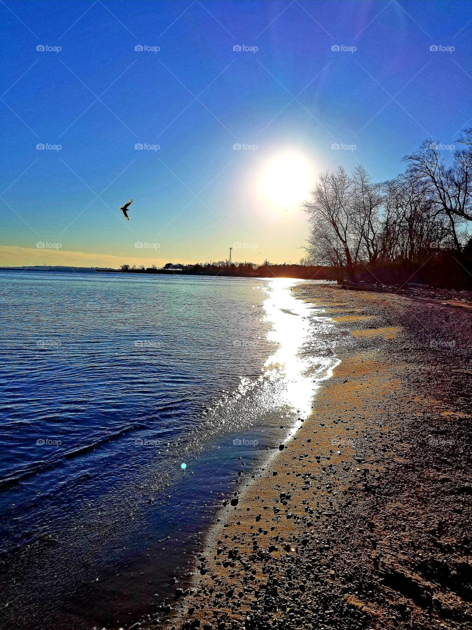 beach walks are the best!!!☆