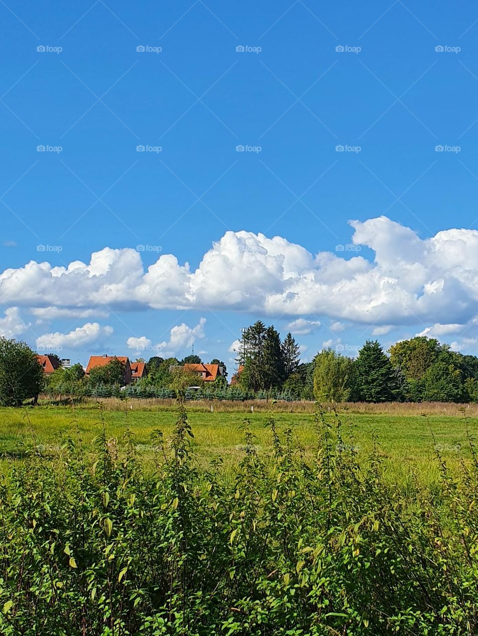 green gras and clouds