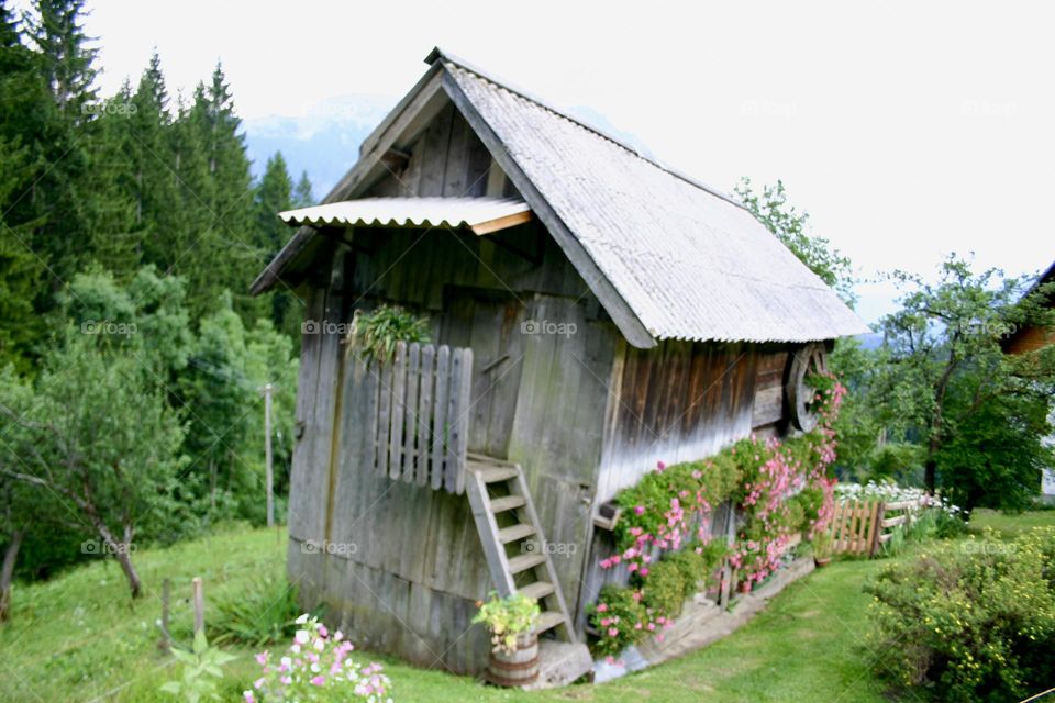 Wooden hut with flowers pots and a ladder on countryside 