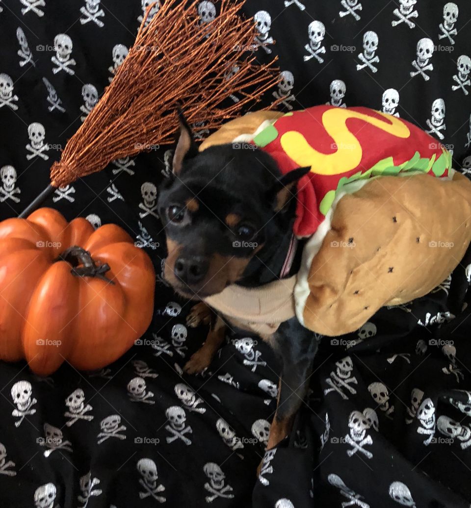 Hotdog costume 
