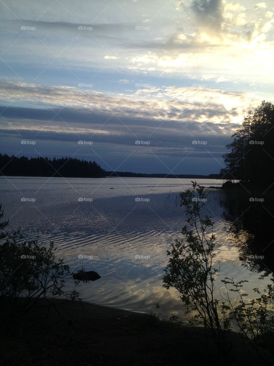 Evening lake 
