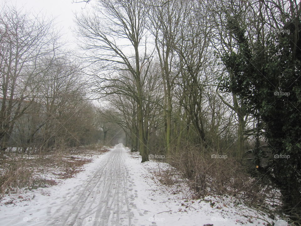 A Frozen Road