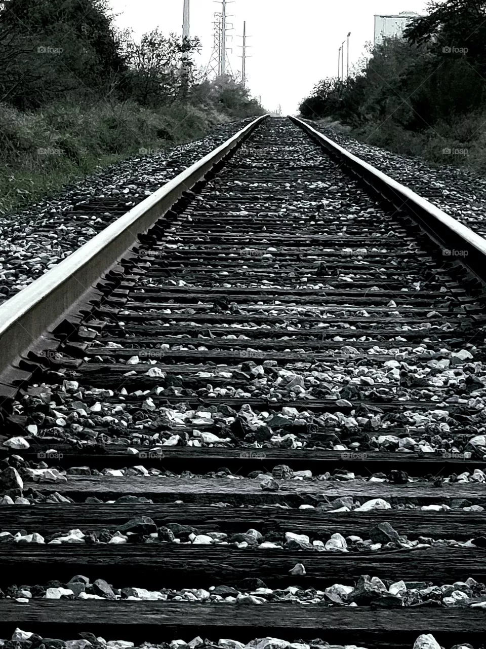 Railroad tracks