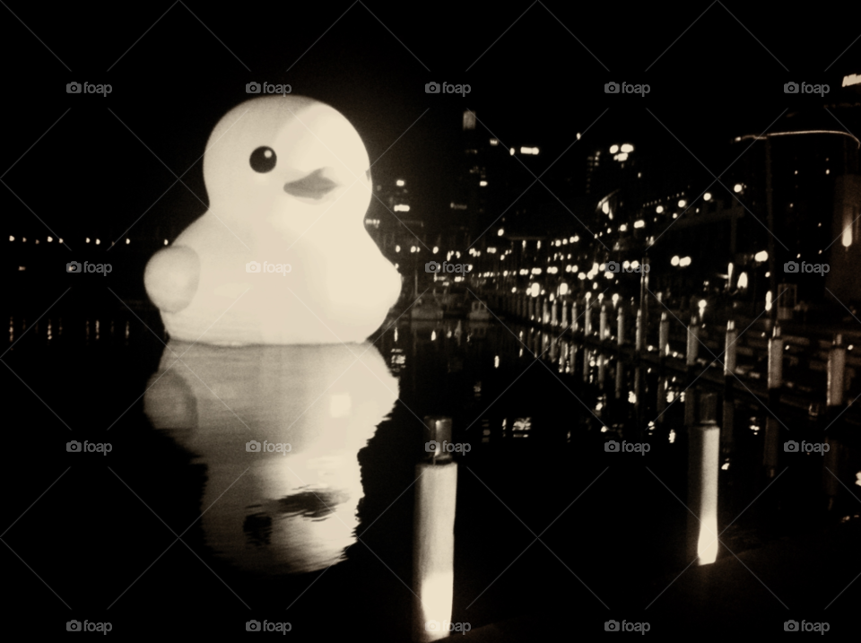 night lights duck sydney by fairybelle