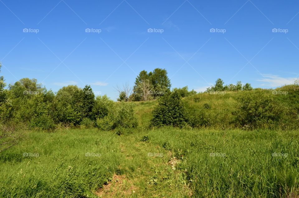 The nature of the native land. In summer, the village is especially good. Everything is blooming and fragrant. Fresh air