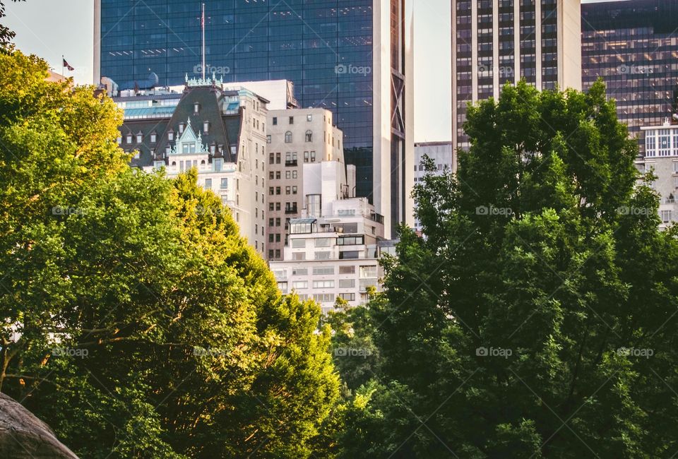 New York, Manhattan, Central Park, people, summer, sunset, trees, plants, grass, green, Park, buildings, architecture, skyscrapers, Waldorf Astoria New York,