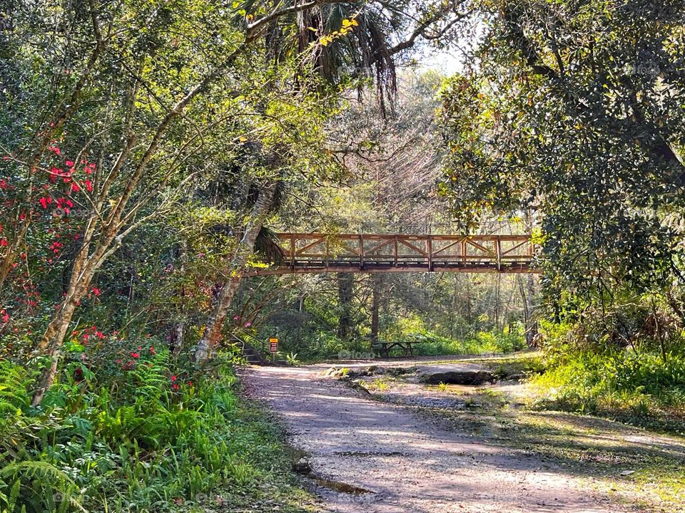 A suspension foot bridge crossing a dirt road through a public park with green foliage and flowers blooming providing natural habitat for birds and bees.